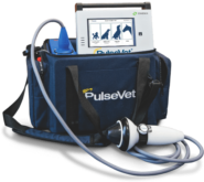 pulsevet-parentspage.png pulsevet-parentspage.png